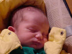 martin_maxi.jpg (28866 octets)