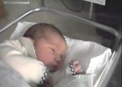 tanguy02.jpg (8828 octets)